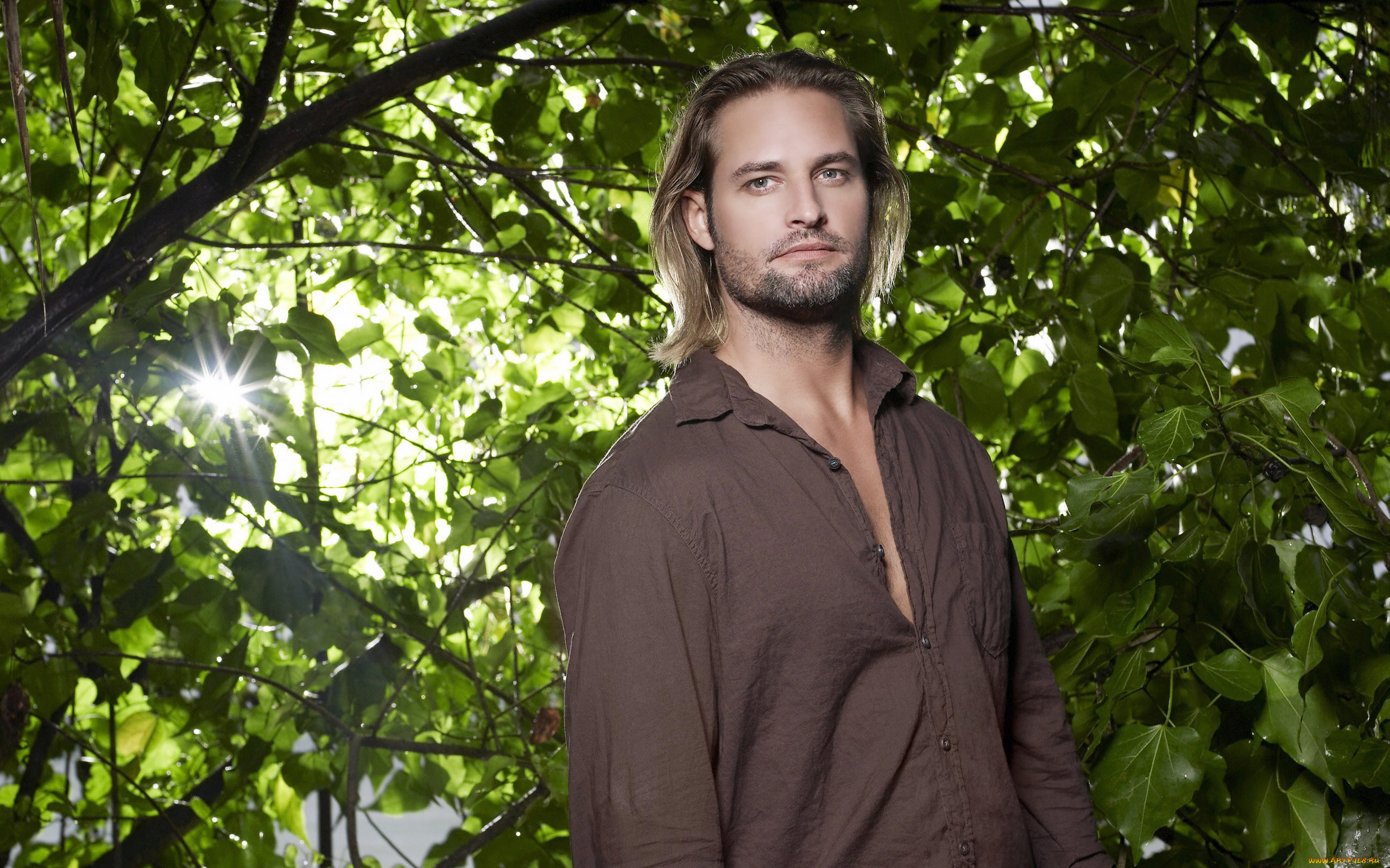 josh, holloway, 
